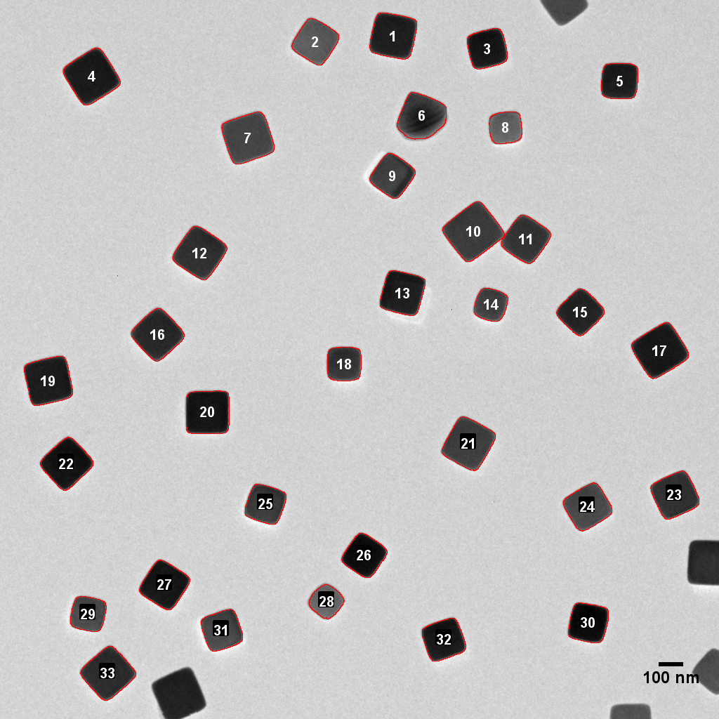 An image of well-dispersed AgX grains imaged at -170C.